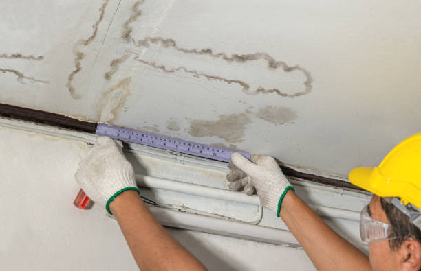 Reliable Basement Water Removal contractor in South Charleston, OH by Water Damage Irwin